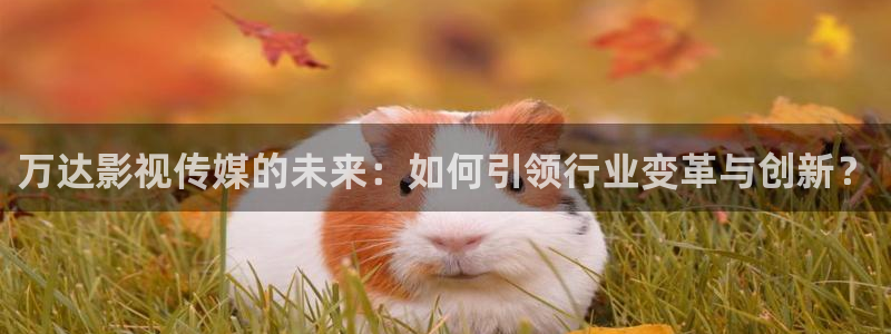 四虎好看影院