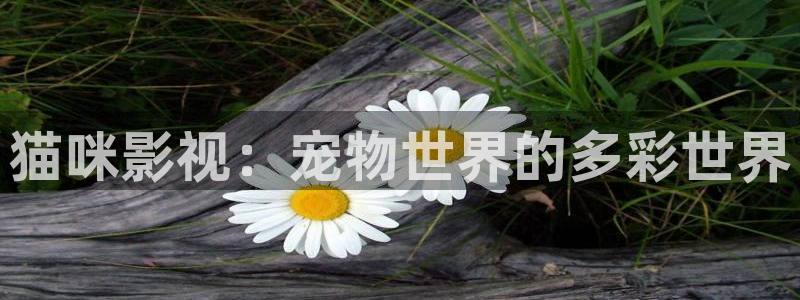 好看影院在线观看电影
